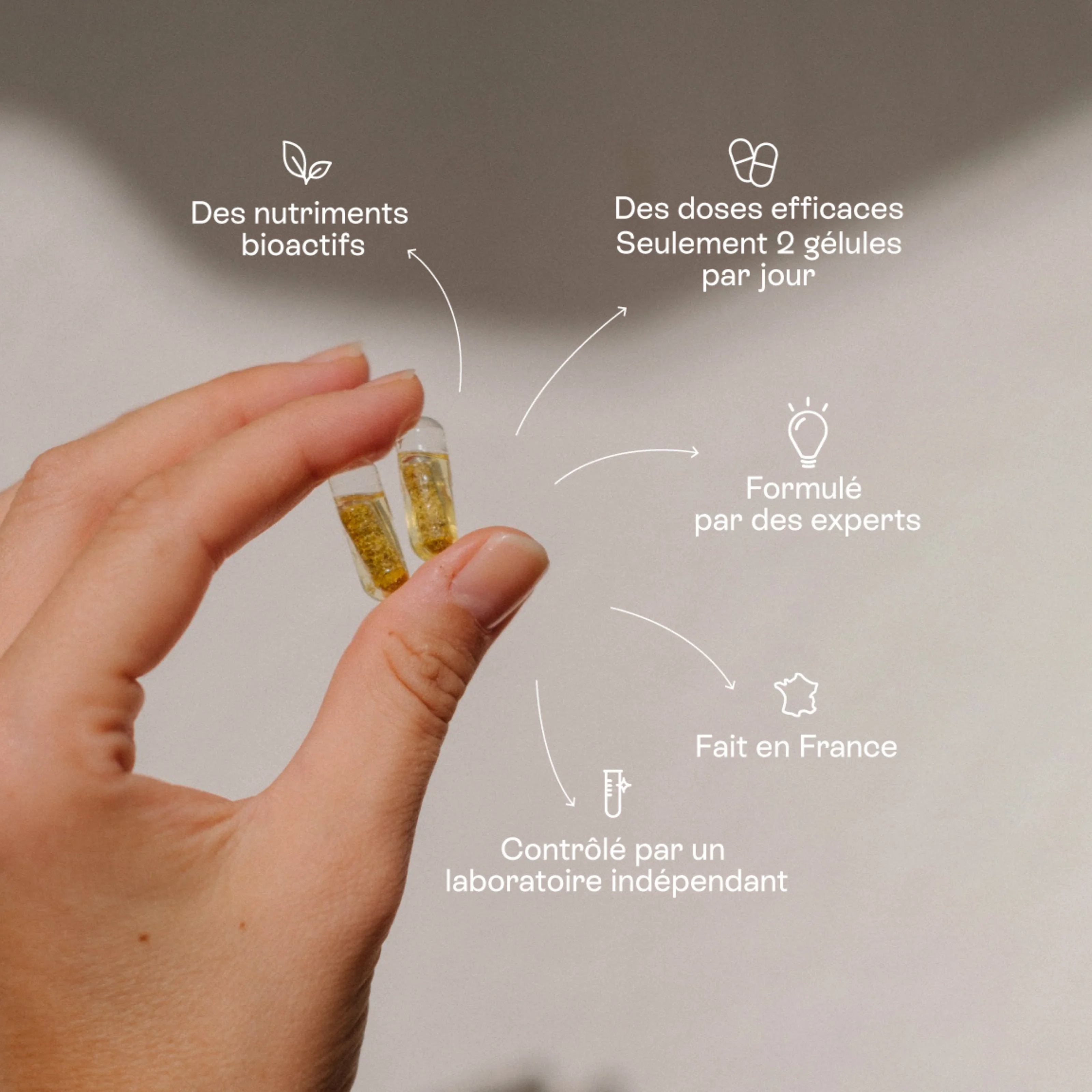 Baby Bump Compléments alimentaires - Image 4